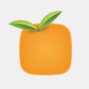 Square Orange, LLC Logo